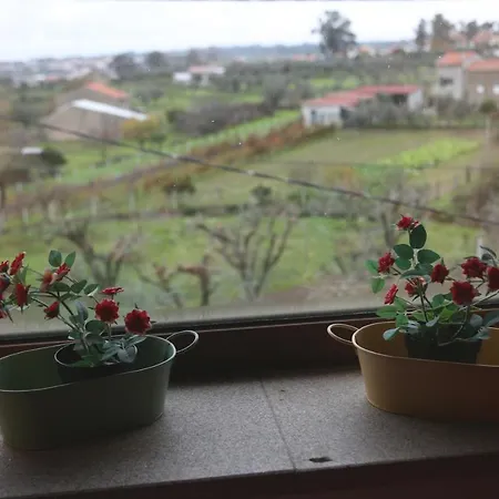 Casa D'avo Serra Da Estrela * סייה